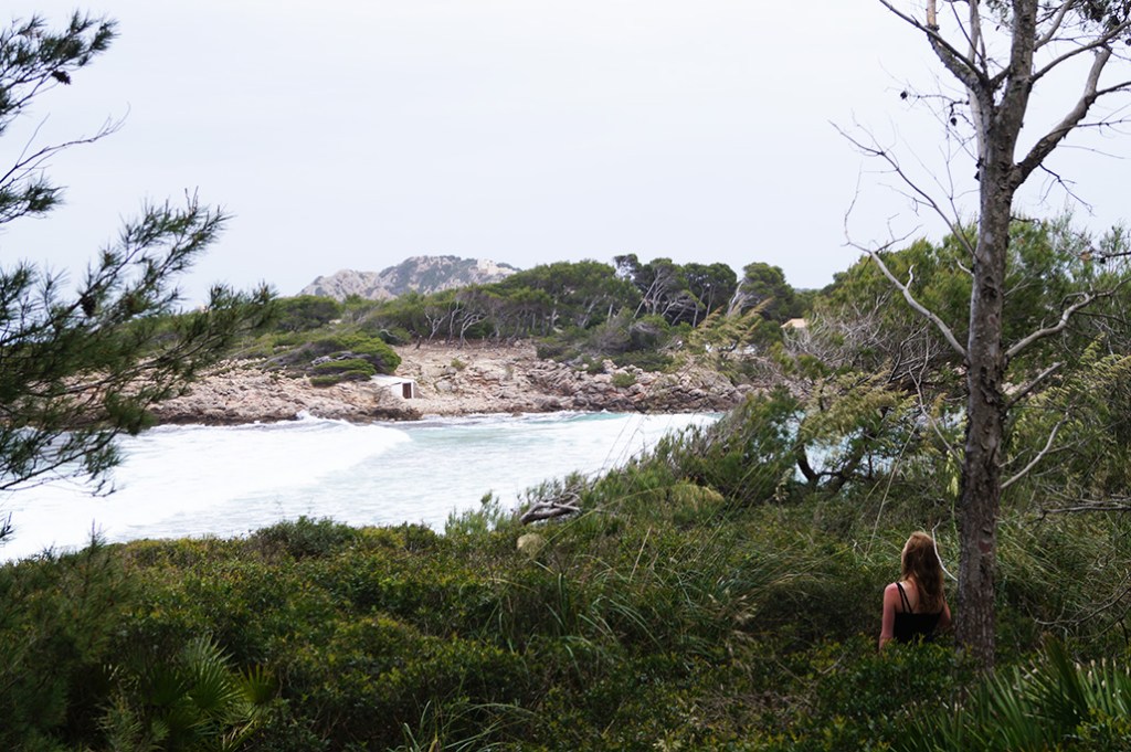 Einmal alles betrachten